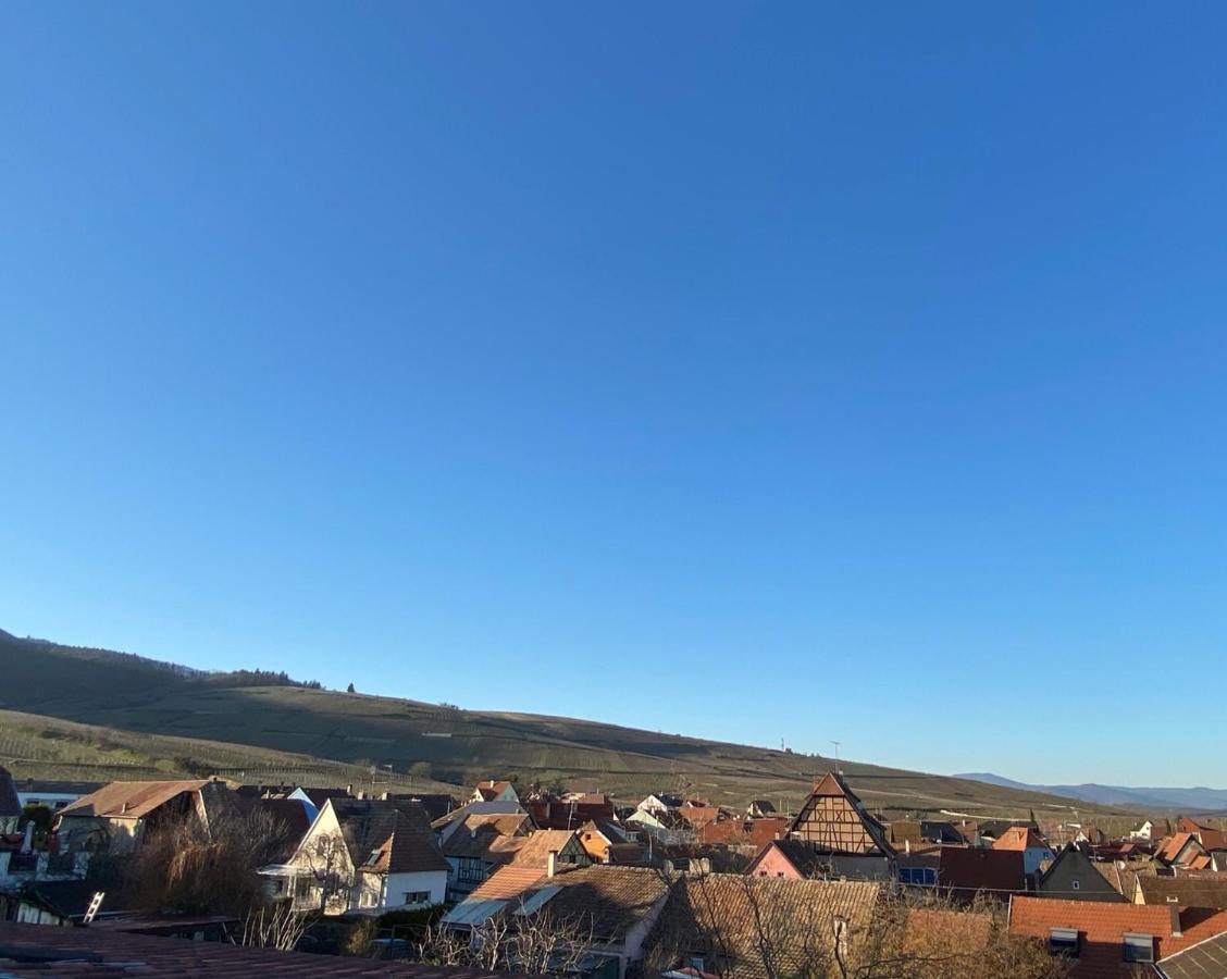 Duplex Le 12 - Appartement Avec Terrasse Dans Le Vignoble - 5 Mn Du Centre De Colmar Wettolsheim المظهر الخارجي الصورة